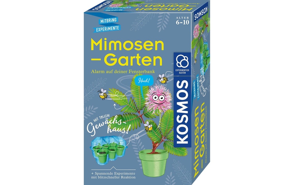 Kosmos Boîtes d’expérimentation Jardin de mimosa