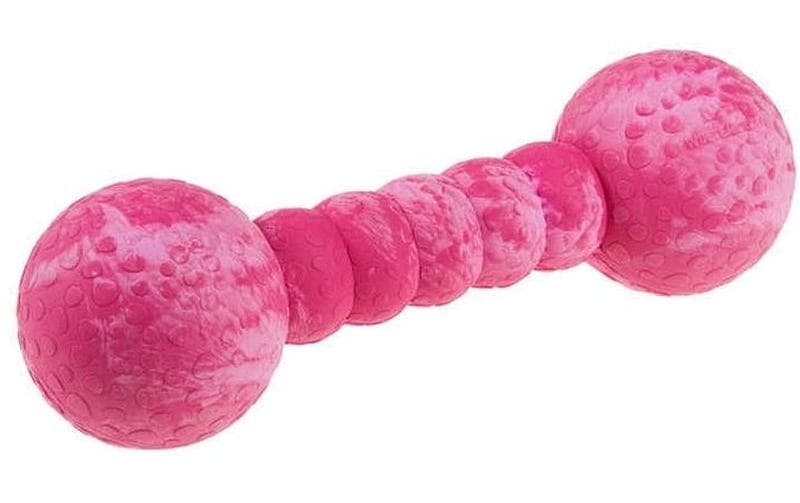 Wolters Jouet pour chien Aqua-Fun Gym, 23 cm