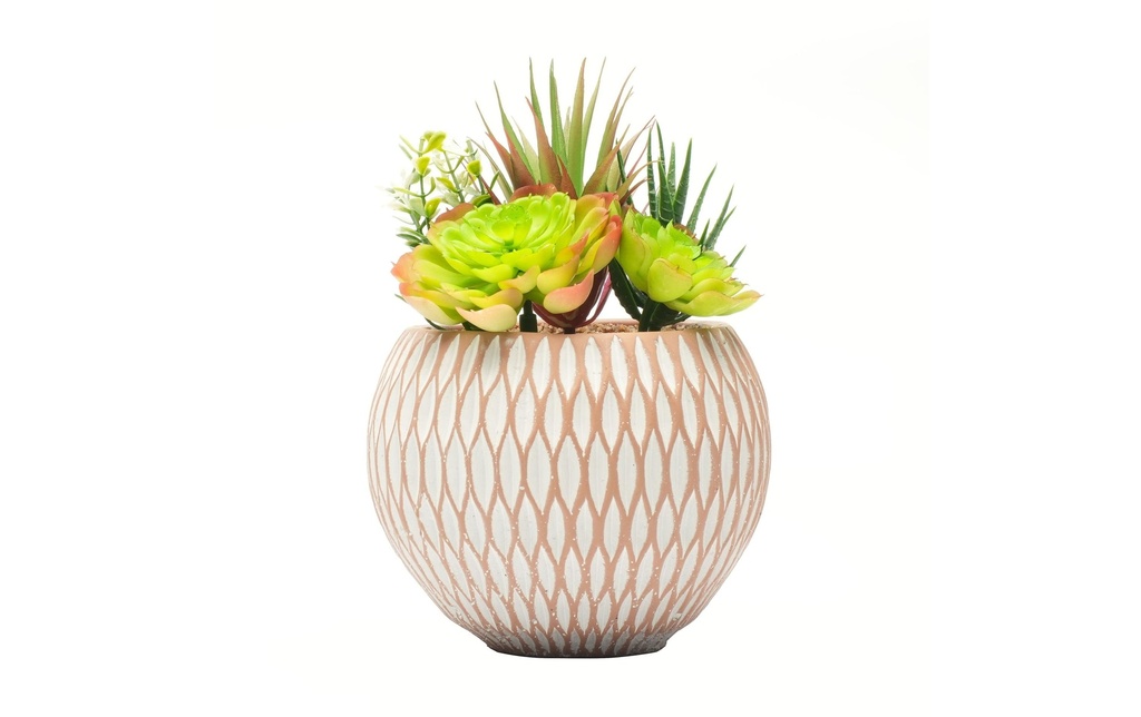 Dameco Plante artificielle Succulentes 22 cm, avec Pot
