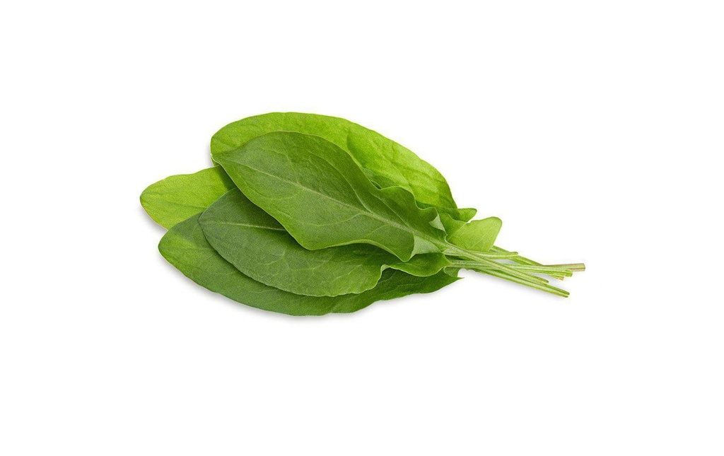 Click and Grow Semence oseille