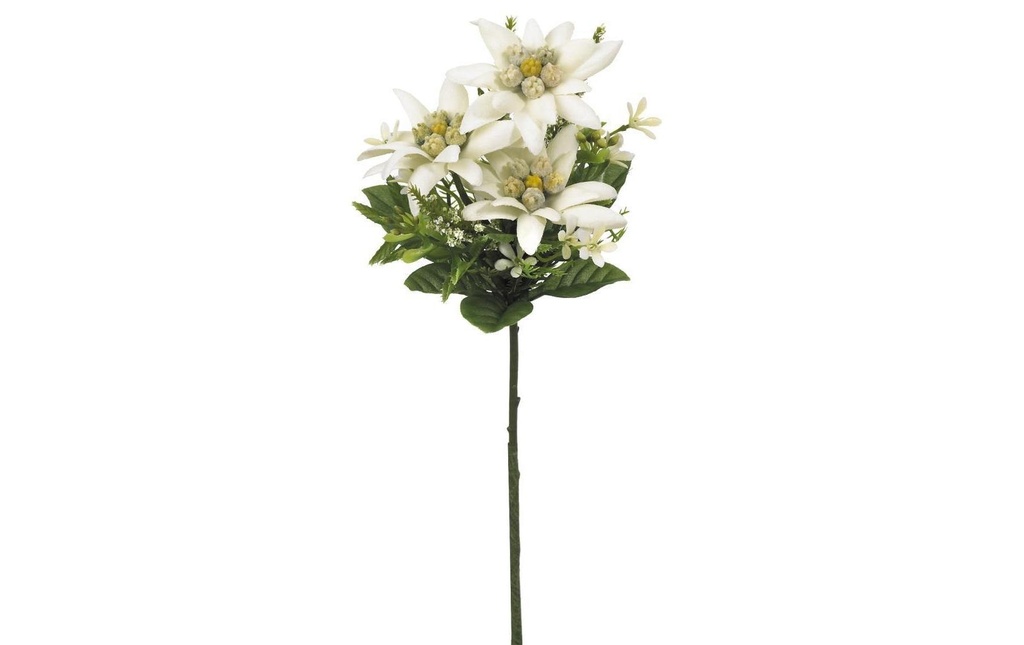 Botanic-Haus Fleur artificielle Edelweiss, 22 cm, lot de 3