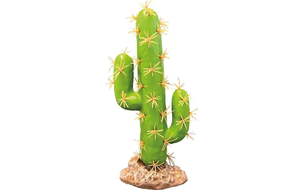 Repto Déco Plante Cactus San Pedro, 22 cm