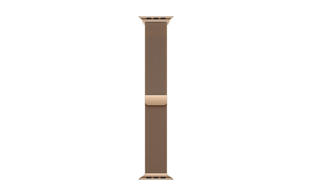 Apple Boucle milanaise 40 mm Or