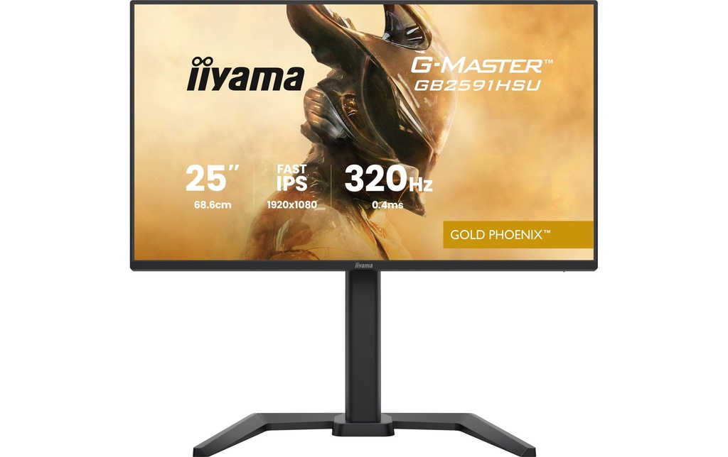 iiyama Moniteur G-Master GB2591HSU-B1 24.5 , 1920 x 1080 (Full HD)