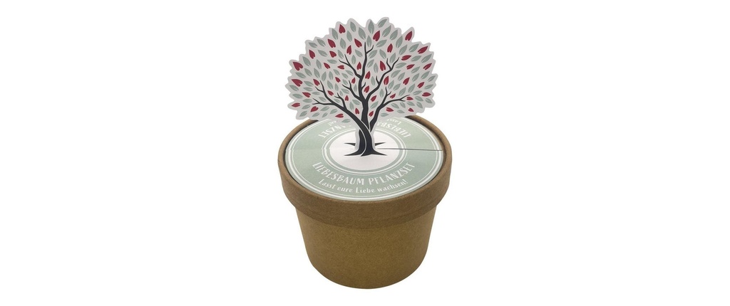 Wunderle Pot d'arbre d'amour 7 cm