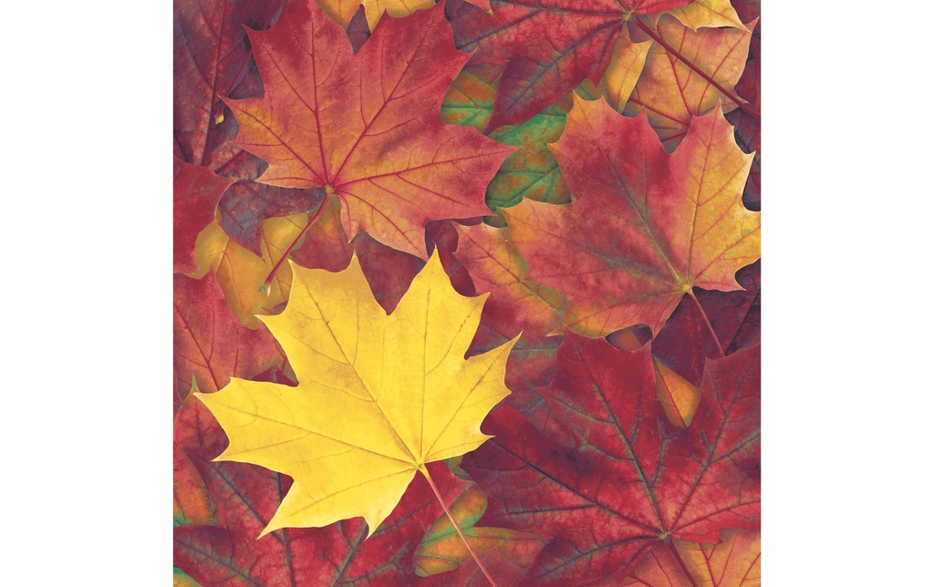Paper + Design Serviettes feuilles d'automne 33 cm x 33 cm, 20 Pièce/s