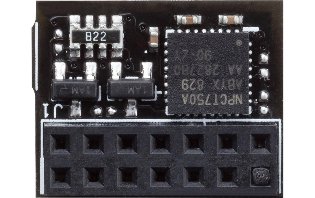 ASUS Module de sécurité TPM-SPI Modul