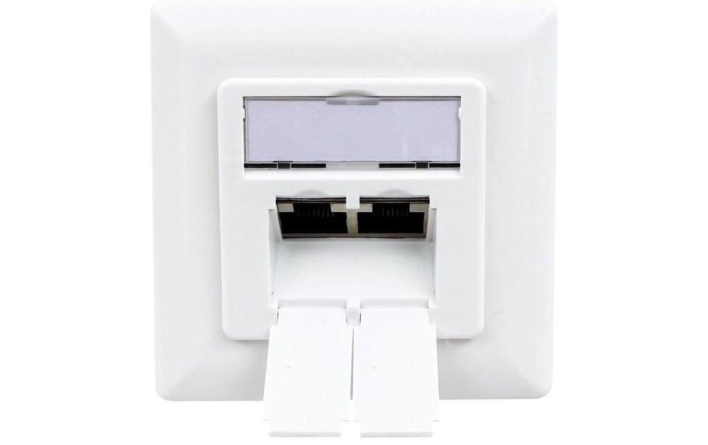 Wirewin Prise de données RJ-45 Cat.5e 2 fois