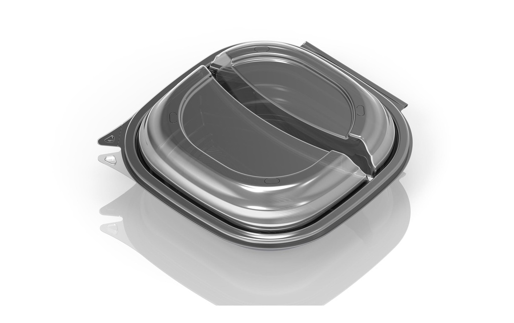 Duni Bols jetables Vista 25 Pièce/s, 2 compartiments, 670/460 ml