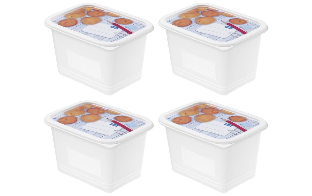 Rotho Récipients à provisions Domino Dekor 4 pièces, 1 l, Transparent