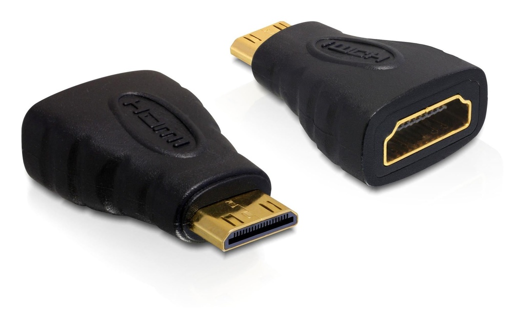 Delock Convertisseur Mini-HDMI (HDMI-C) – HDMI Noir