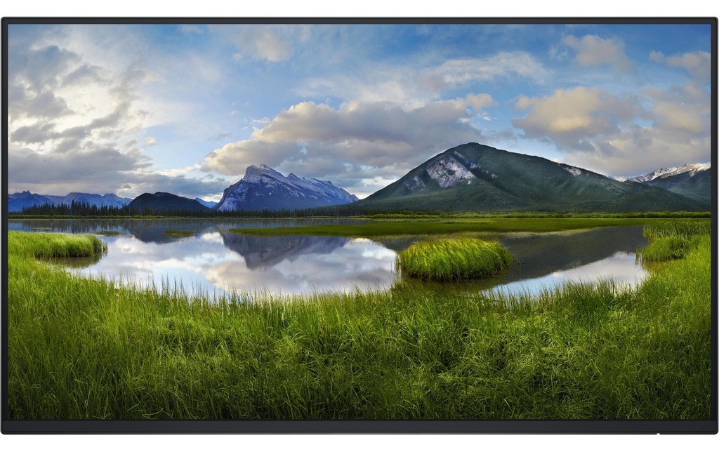 Dell Moniteur P2425HE WOST sans pied