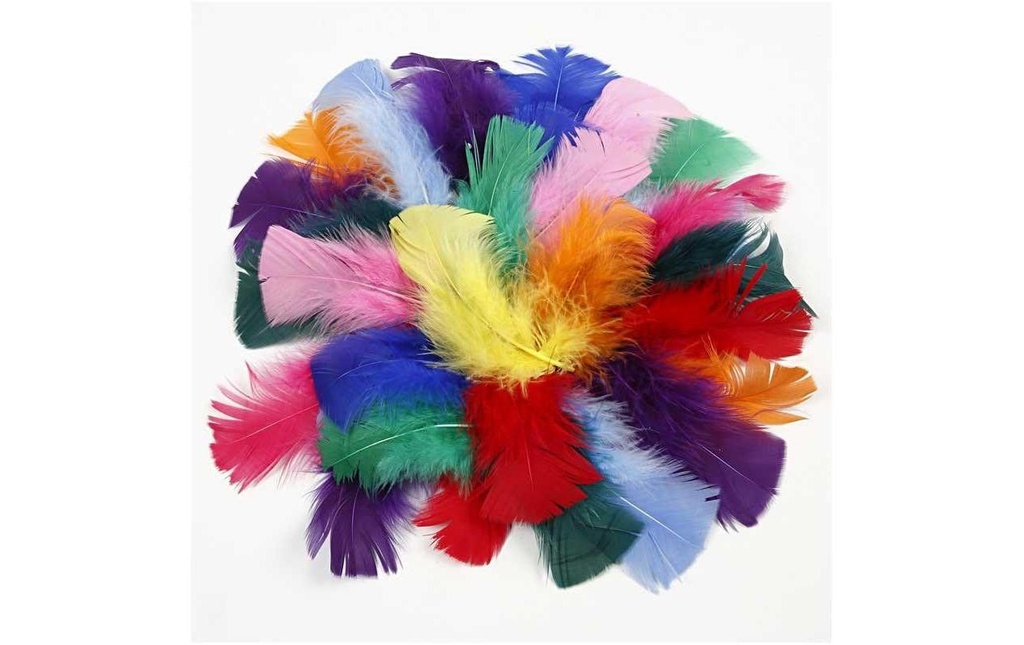 Creativ Company Plumes 50 g Multicolore