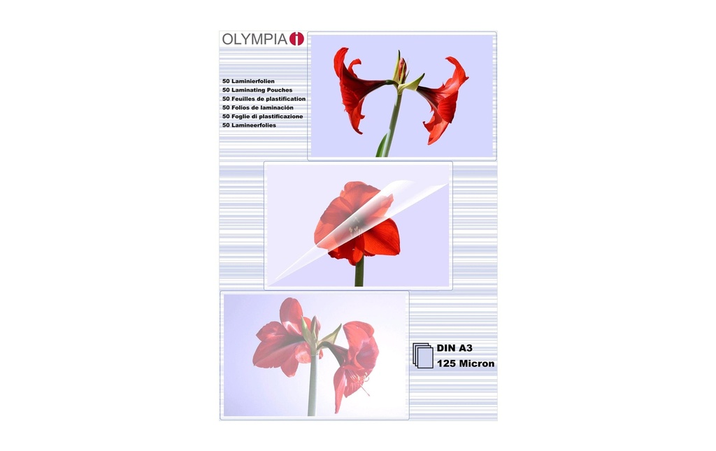 Olympia Film laminé Résistant à la déchirure, avec protection contre la flexion
