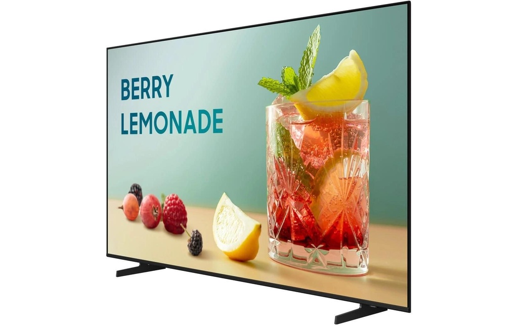 Samsung Ecran Public BE55FX-H 55