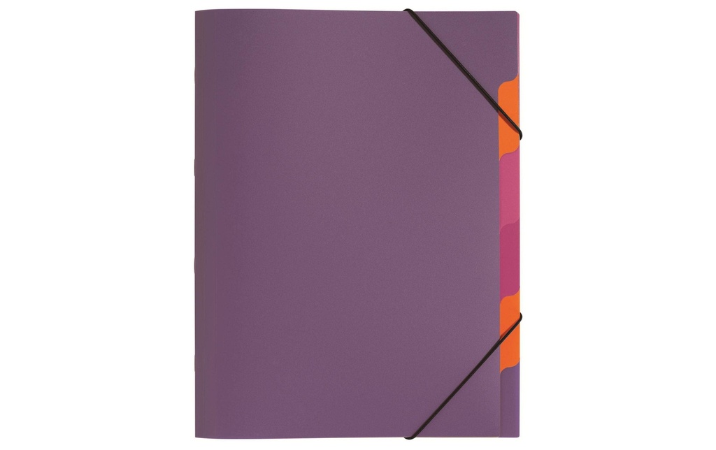 Pagna Classeur à compartiments A4 Funky School Violet