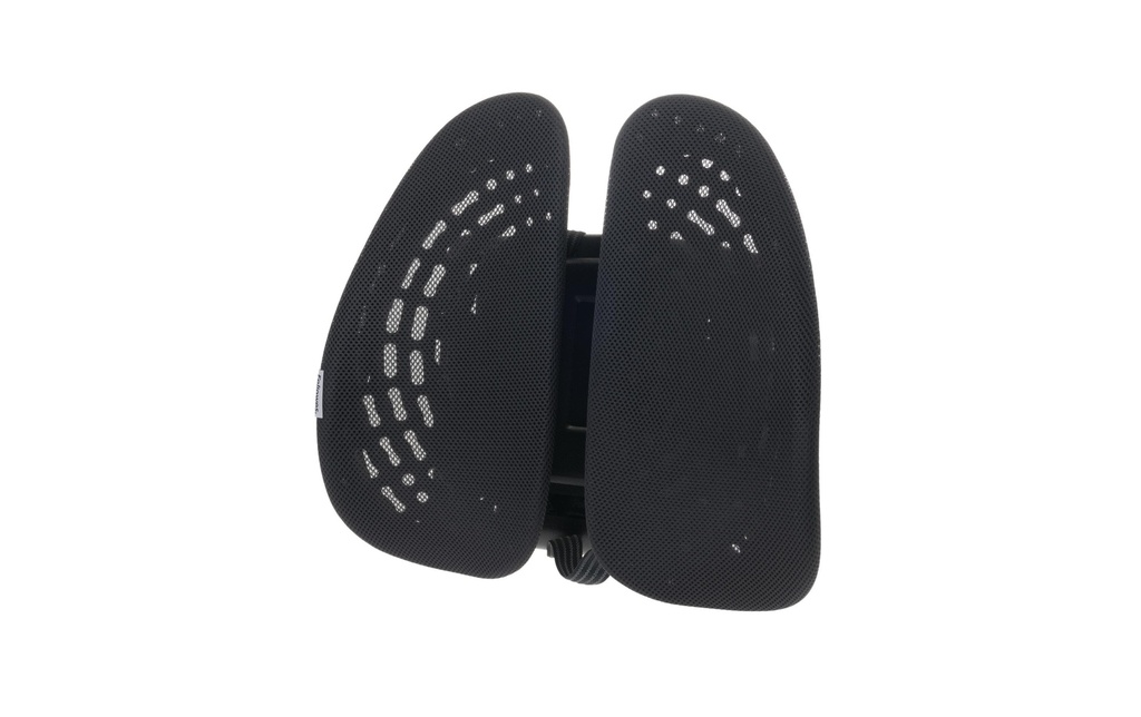 Fellowes Stabilisateur dorsal Back Angel