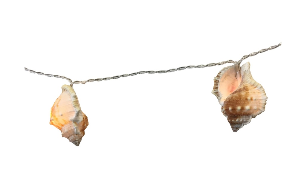 Dameco Guirlande lumineuse Coquillage Maritim
