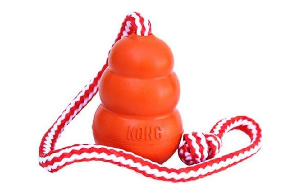 Kong Jouet pour chien Kong Aqua Ø 10.5 cm