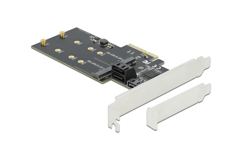 Delock Contrôleur SATA PCI-Ex4 - 3xSATA3, 2xM.2 Key-B