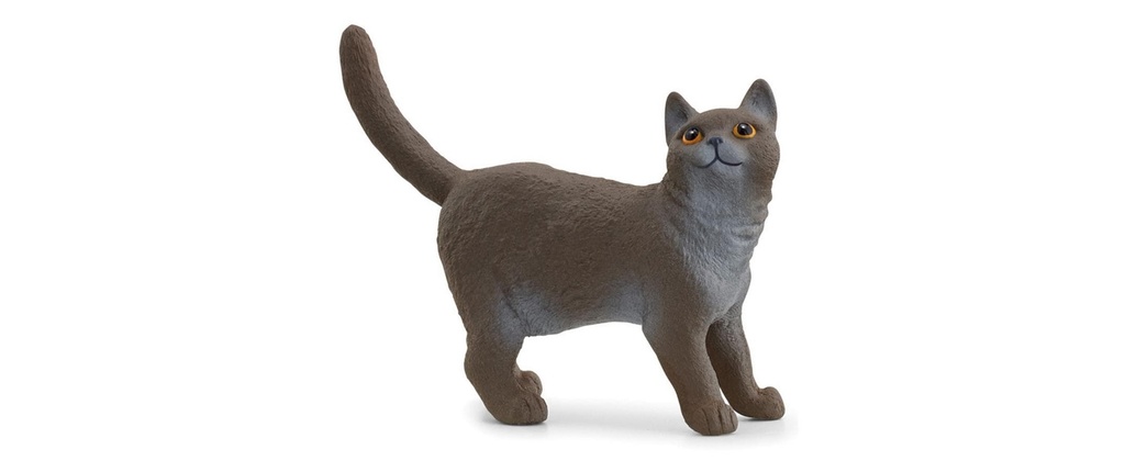 Schleich Figurine de jeu Farm World Chat britannique à poil court