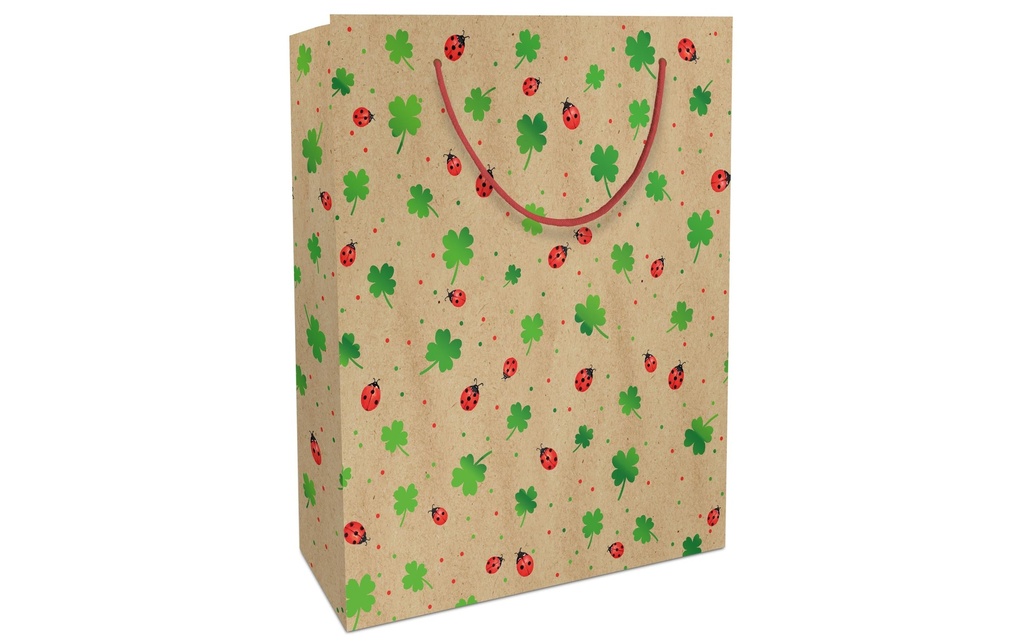 Braun + Company Sac cadeau Natural Luck 25 x 33 x 11 cm, Brun