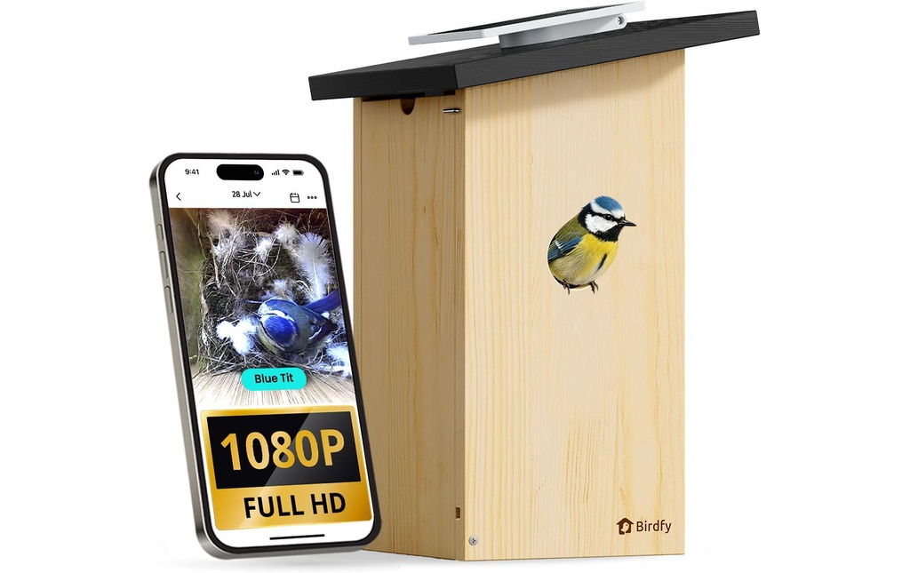 Birdfy Maison des oiseaux Nichoir avec caméra et solaire