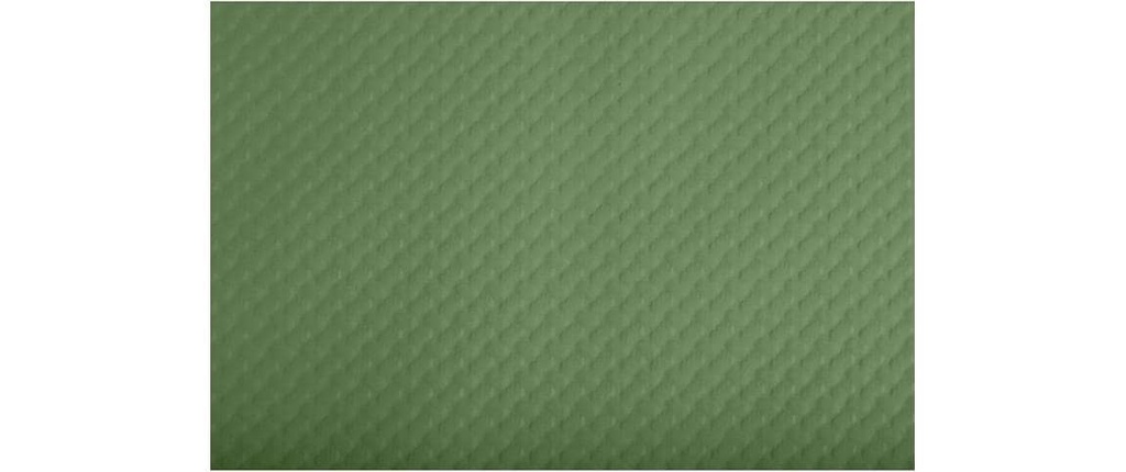 PRO nappe Set de table 500 pièces 30 cm x 40 cm, Vert olive