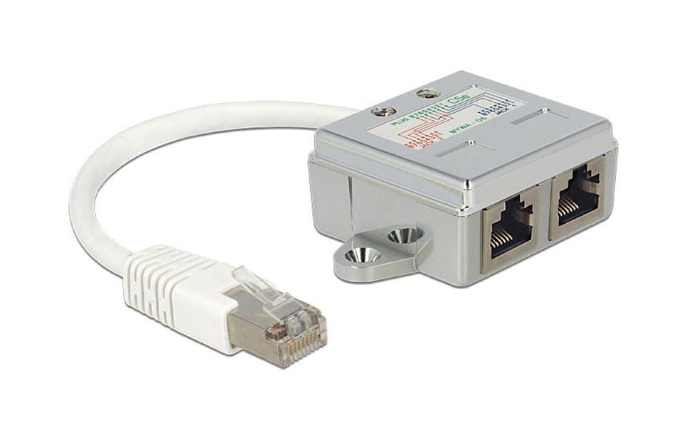 Delock Adaptateur double port 2xRJ45, 1x100Mbps LAN, 1xISDN 1 Pièce/s
