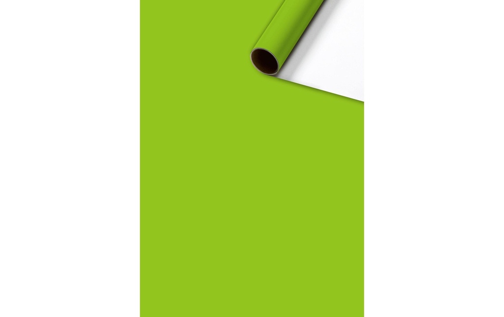 STEWO Papier cad.OC 70cmx2m vert cl. (2 pces)