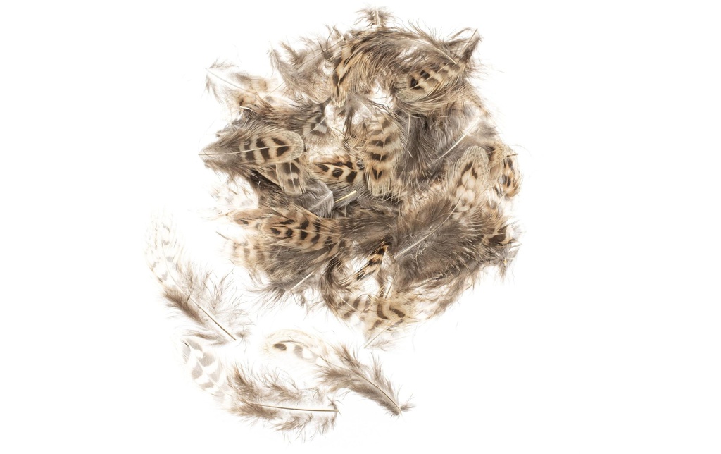 Glorex Plumes Poules 5-12 cm, 10g, brun