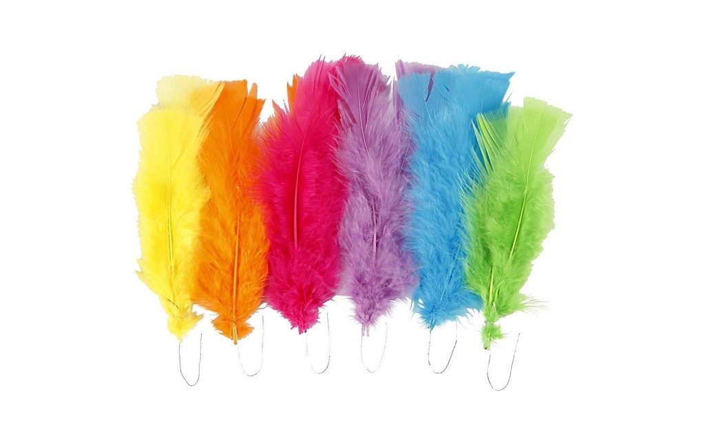 Creativ Company Plumes Multicolore, 18 Pièce/s