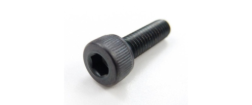 EP Vis à tête cylindrique M2,5x14 mm