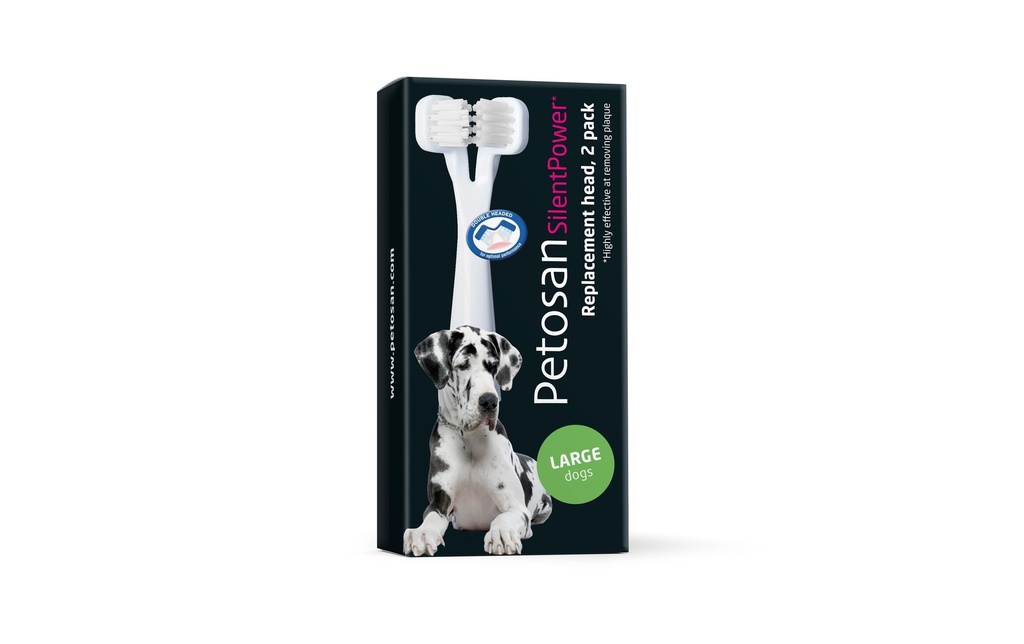 Petosan Nettoyage des dents Brosses de rechange L