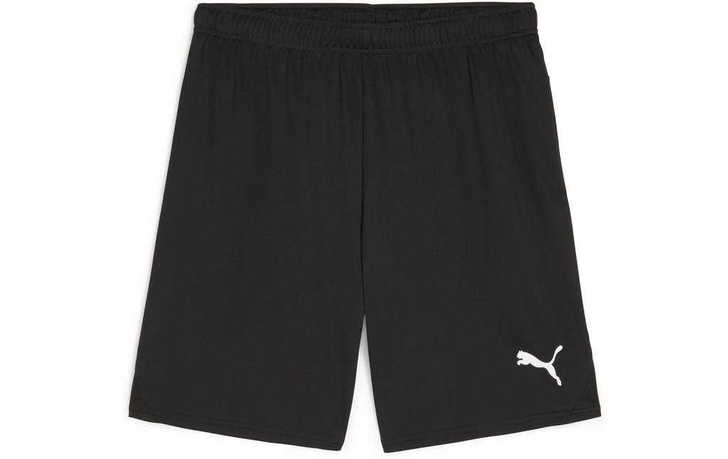 PUMA Shorts teamGOAL L, Noir