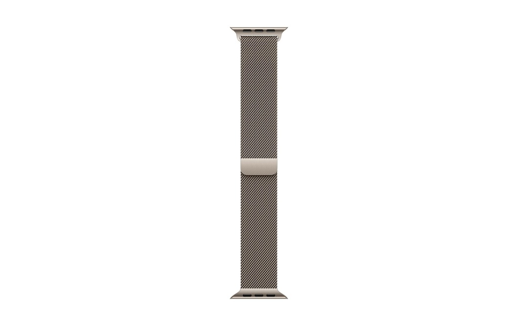 Apple Boucle milanaise 40 mm Gris