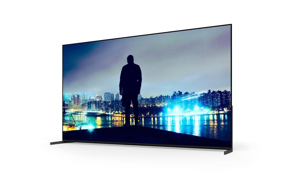 Sony Ecran Public FWD55XR8M2 43