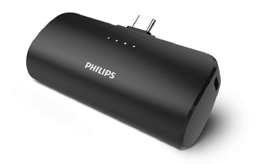 Philips Chargeurs portatifs DLP2510C/04 2500 mAh