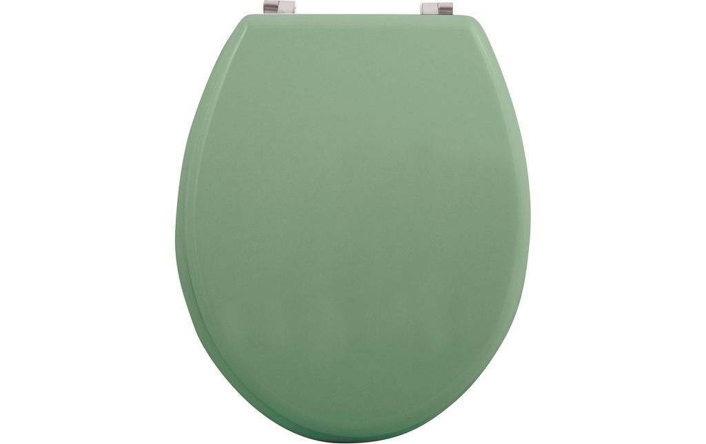 MSV Siège de toilette Vert