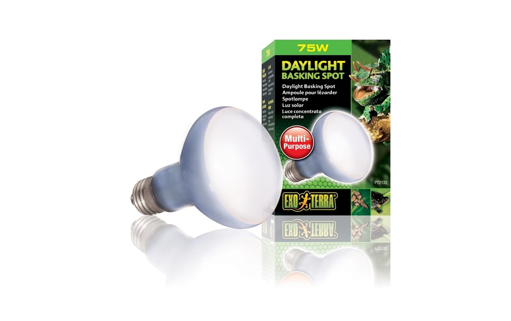 Exo Terra Lampe pour terrarium Daylight Basking Spot E27, R20/75W
