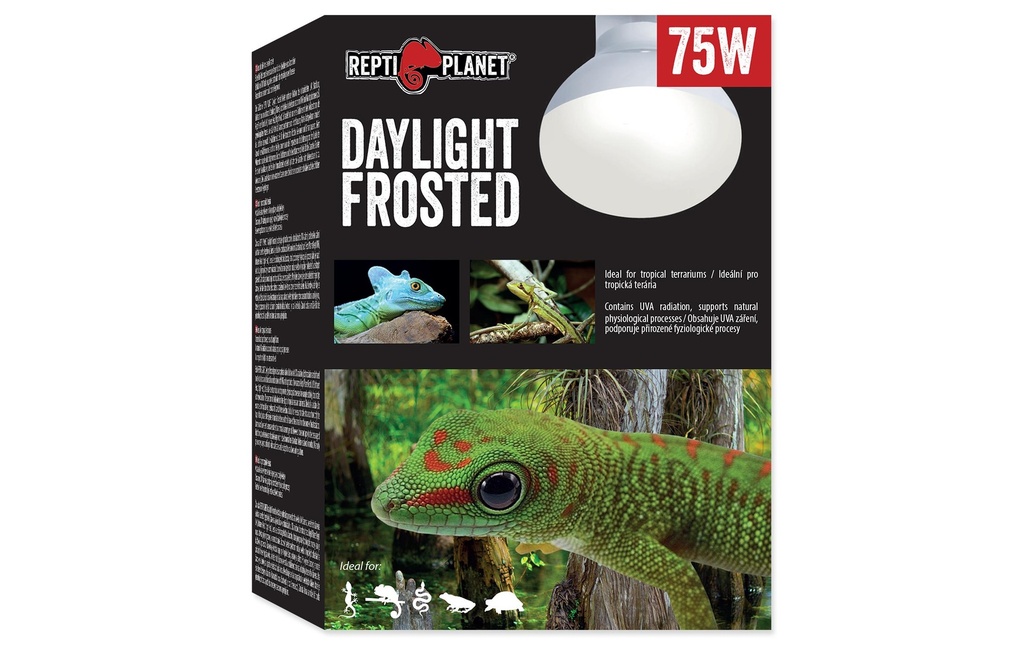 Repti Planet Lampe pour terrarium Daylight Frosted 75 W