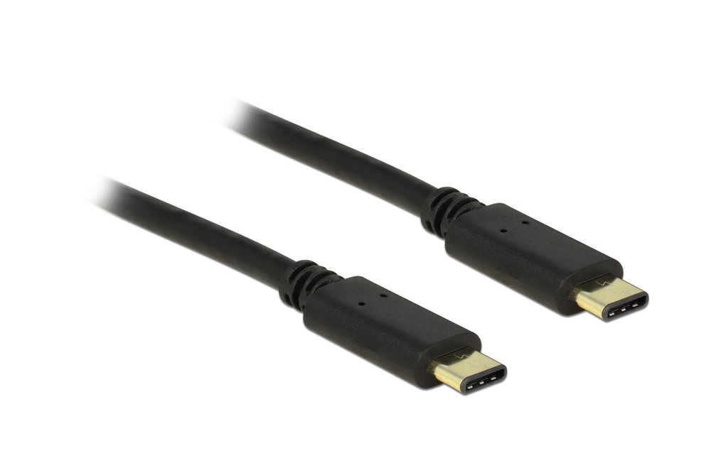 Delock Câble USB 2.0  USB-C - USB-C 2 m