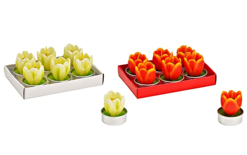 G. Wurm Bougie chauffe-plat Tulipe 6 pièces, Multicolore