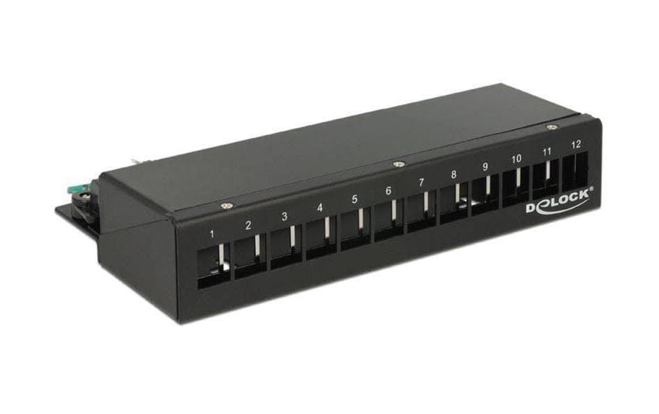Delock Panneau de réseau Keystone 12-Port Bureau, noir