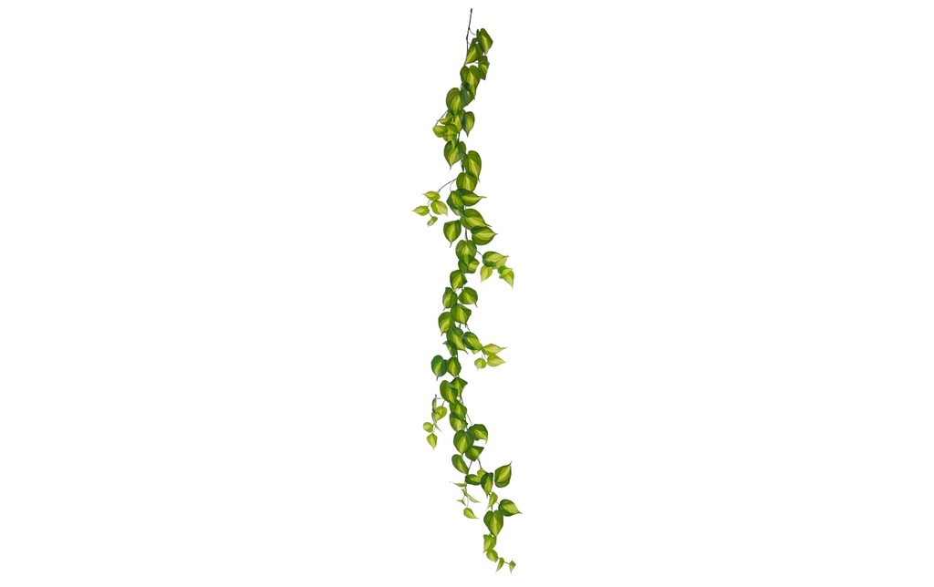 Botanic-Haus Plante artificielle Philodendron Scandens Brasil vert, 180 cm