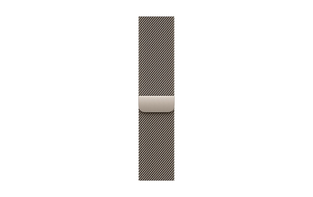 Apple Boucle milanaise 42 mm Gris