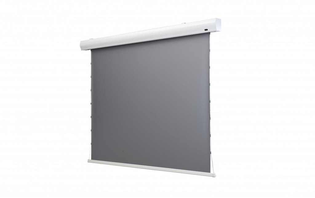 Celexon Écran mural à tension HomeCinema Dynamic Slate ALR 265x149cm 16:9
