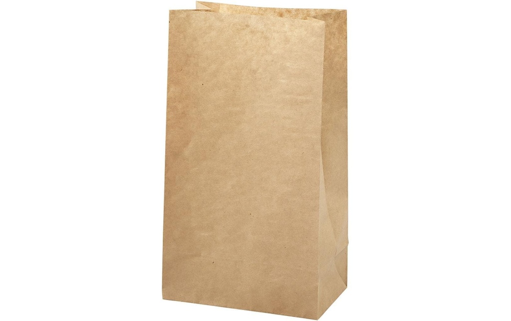 Creativ Company Sachet cadeau 15 x 9 x 27 cm 100 pièces