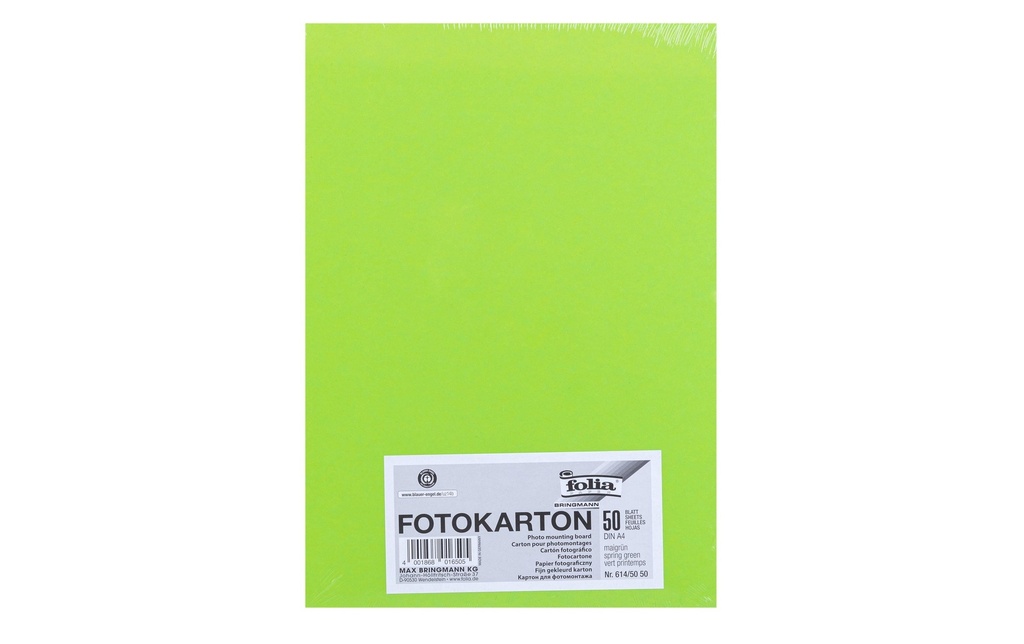 Folia Papier cartonné A4, 300 g/m², 50 feuilles, vert mai