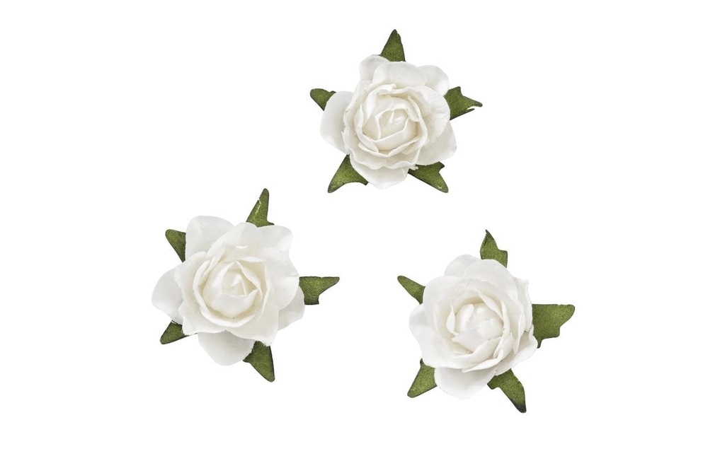 HobbyFun Décoration à éparpiller Roses 20 pièces, blanc